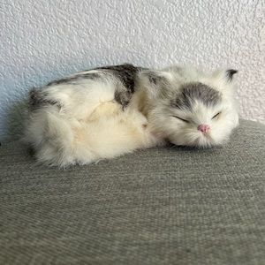 Medium cat sleeping